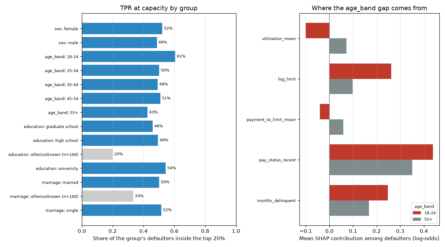 TPR at capacity by group, and feature contributions behind the largest gap
